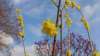dsc_1078_thumb.jpg