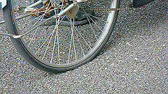 dsc07387_thumb.jpg