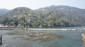 dsc00042_thumb.jpg