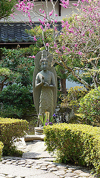 dsc00049_thumb.jpg