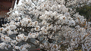 dsc00091_thumb.jpg