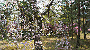 dsc00141_thumb.jpg