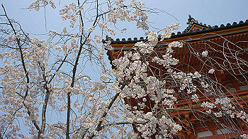 dsc00142_thumb.jpg