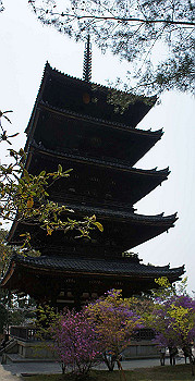 dsc00157_thumb.jpg