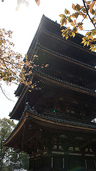 dsc00158_thumb.jpg