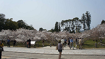 dsc00161_thumb.jpg