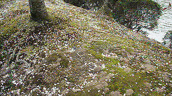 dsc00176_thumb.jpg