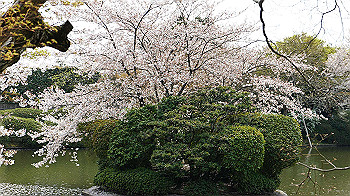 dsc00183_thumb.jpg