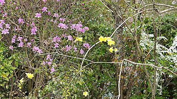 dsc00188_thumb.jpg