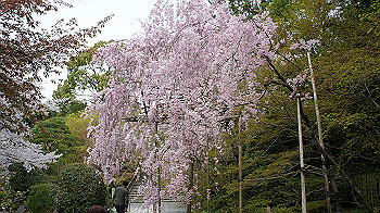 dsc00190_thumb.jpg