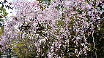 dsc00191_thumb.jpg