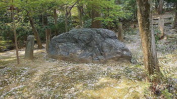 dsc00219_thumb.jpg