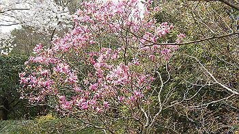 dsc00223_thumb.jpg