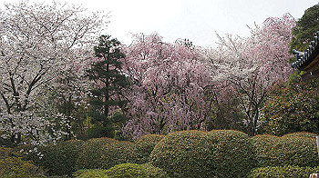 dsc00224_thumb.jpg