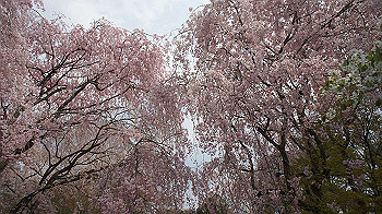 dsc00245_thumb.jpg