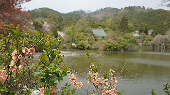 dsc00252_thumb.jpg
