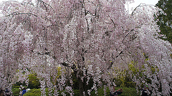 dsc00267_thumb.jpg