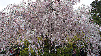 dsc00268_thumb.jpg