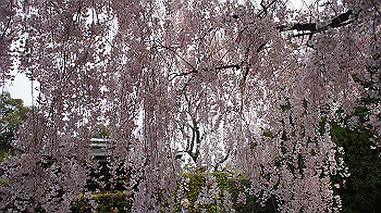 dsc00273_thumb.jpg