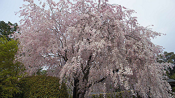 dsc00277_thumb.jpg