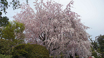 dsc00278_thumb.jpg