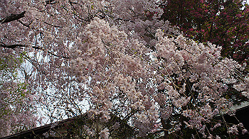 dsc00285_thumb.jpg