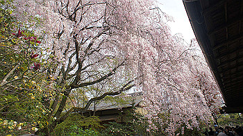 dsc00287_thumb.jpg