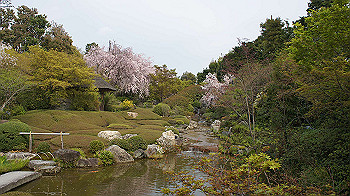 dsc00296_thumb.jpg