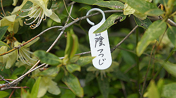 dsc00313_thumb.jpg