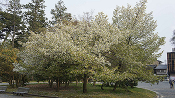 dsc00317_thumb.jpg