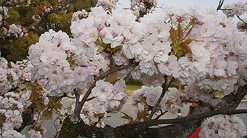 dsc00321_thumb.jpg