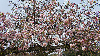 dsc00322_thumb.jpg