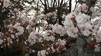 dsc00326_thumb.jpg