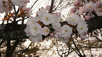 dsc00327_thumb.jpg
