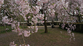 dsc00338_thumb.jpg