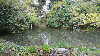 dsc00346_thumb.jpg