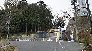 dsc00003_thumb.jpg