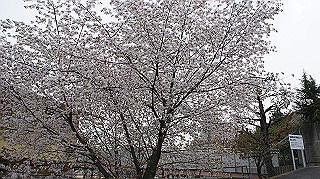 dsc00005_thumb.jpg