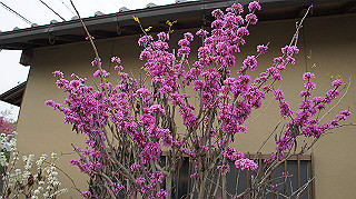 dsc00009_thumb.jpg
