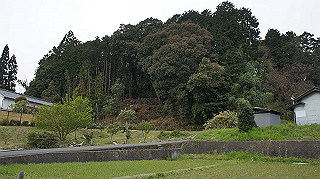 dsc00012_thumb.jpg
