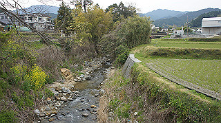 dsc00014_thumb.jpg