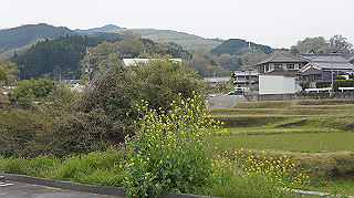 dsc00015_thumb.jpg