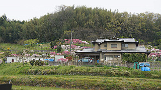 dsc00025_thumb.jpg