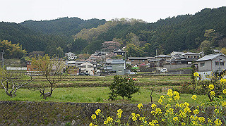 dsc00030_thumb.jpg