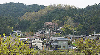 dsc00031_thumb.jpg
