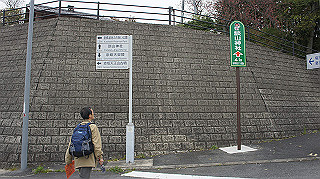 dsc00036_thumb.jpg