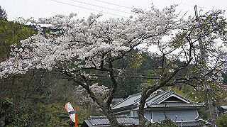 dsc00040_thumb.jpg
