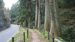 dsc00055_thumb.jpg
