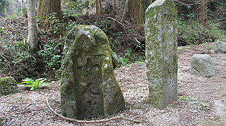 dsc00058_thumb.jpg