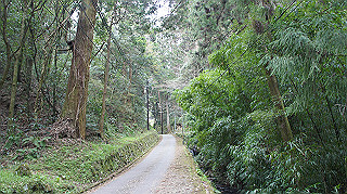 dsc00063_thumb.jpg